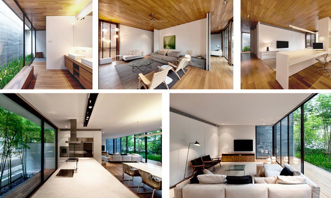 mái nhà phủ cây xanh hồ nước